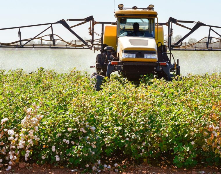 Australia's Cotton Revolution