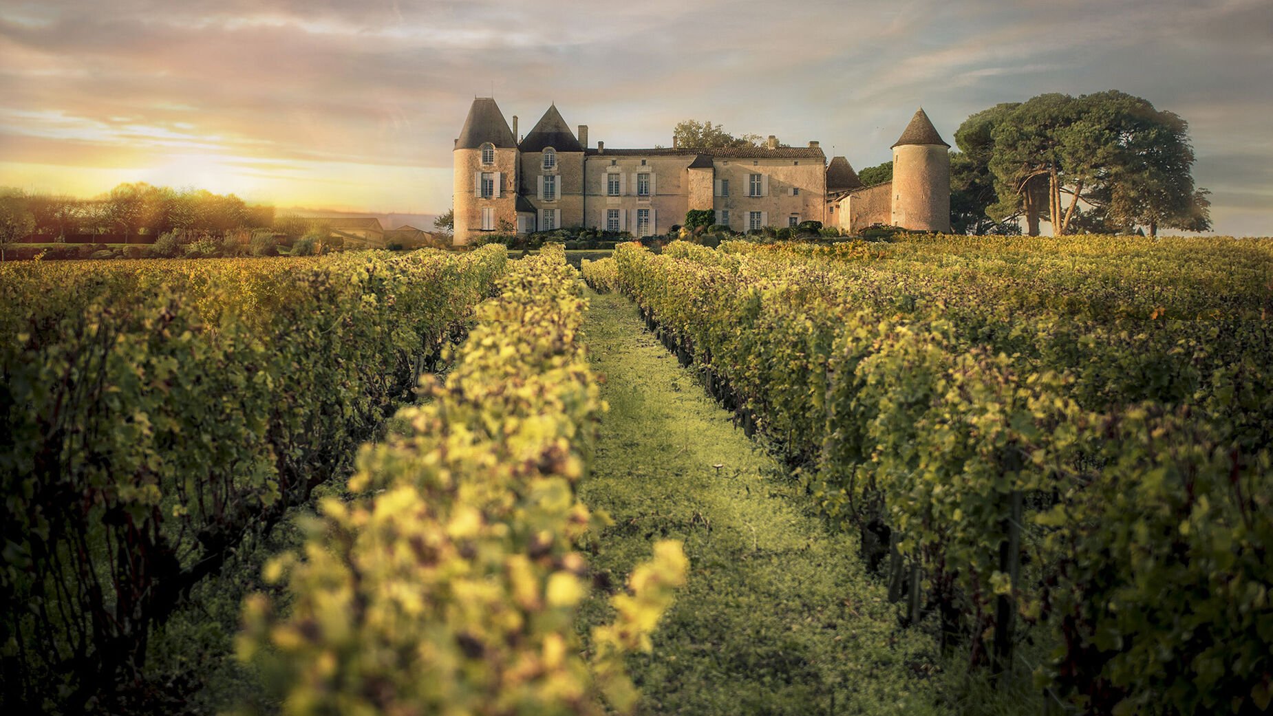 most expensive face cream view