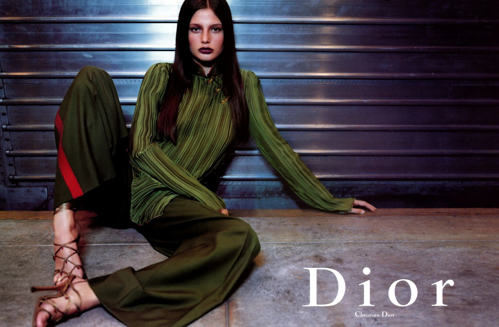 bridget hall dior campaign