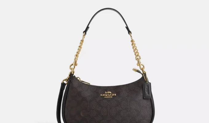 Coach, like an American dark horse, is climbing the luxury rankings